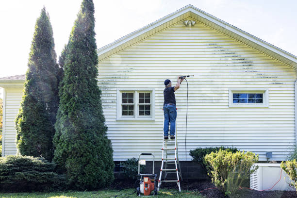 Best Sidewalk and Walkway Cleaning  in Glendive, MT